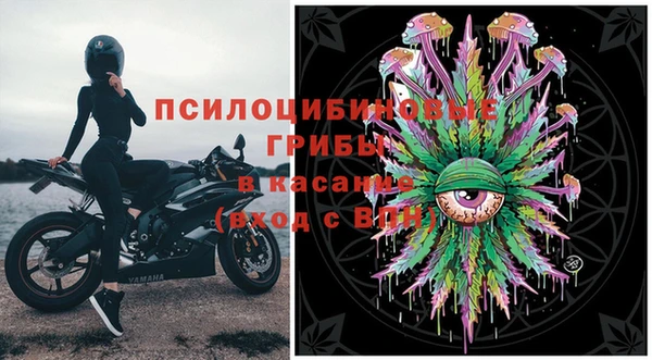 сатива Алексин