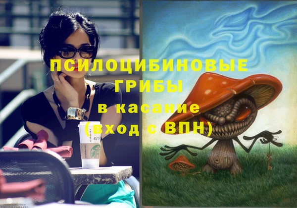 сатива Алексеевка