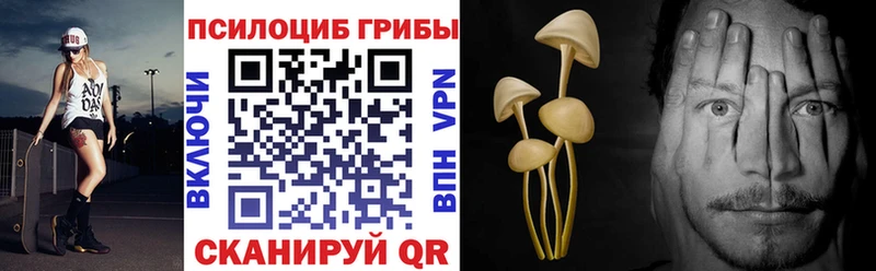 Псилоцибиновые грибы мицелий  где купить наркотик  mega зеркало  Архангельск 